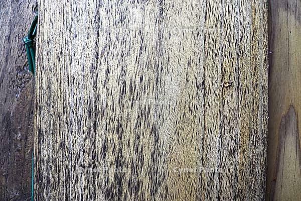 Detailed close up view on different wood surfaces showing planks logs and wooden walls in high resolution [IBR125501561]