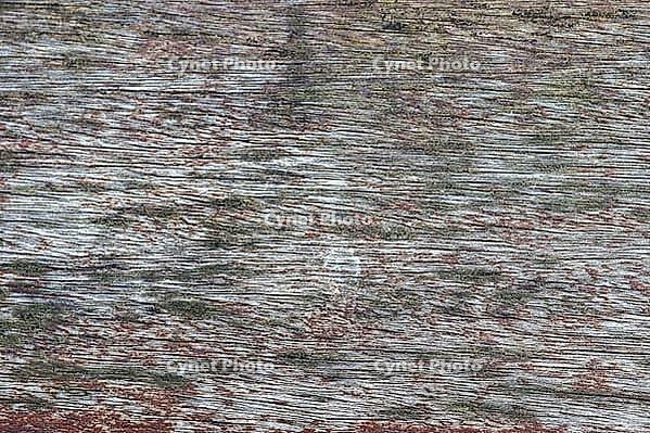 Wooden plank surface background in high resolution [IBR125501569]