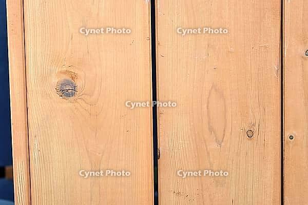 Detailed close up view on different wood surfaces showing planks logs and wooden walls in high resolution [IBR125501576]