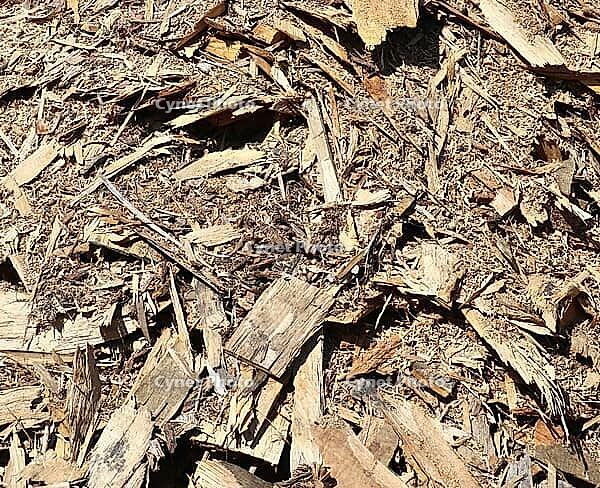 Detailed close up view on different wood surfaces showing planks logs and wooden walls in high resolution [IBR125501583]