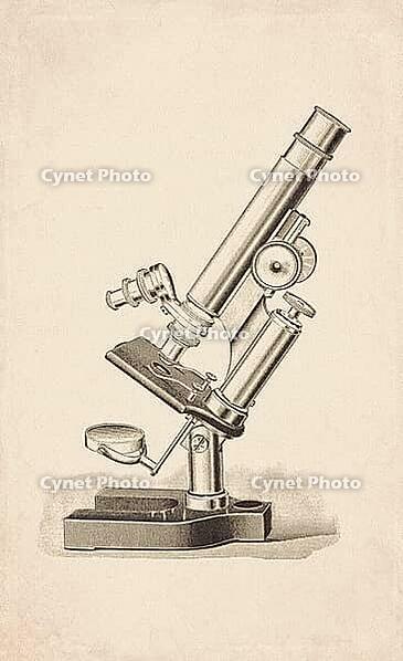Pillar Support Horseshoe Base Compound Microscope Scientific Instrument Engraving Digitally Remastered And Enhanced [IBR125501585]