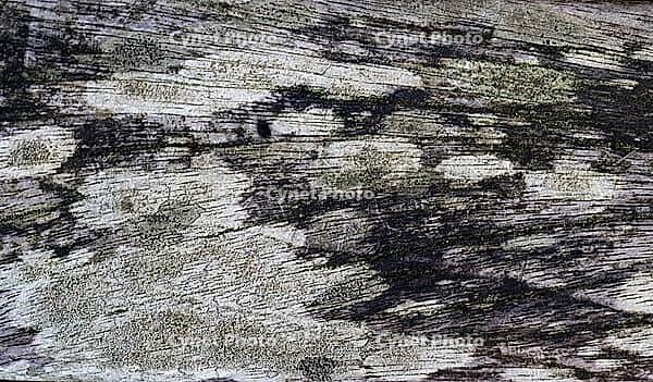Detailed close up view on different wood surfaces showing planks logs and wooden walls in high resolution [IBR125501597]