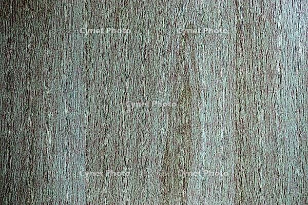 Detailed close up view on different wood surfaces showing planks logs and wooden walls in high resolution [IBR125501598]
