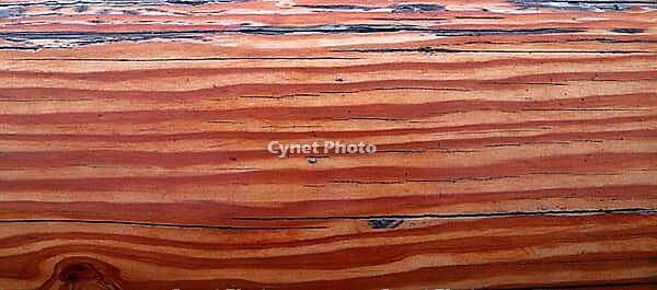 Detailed close up view on different wood surfaces showing planks logs and wooden walls in high resolution [IBR125501613]