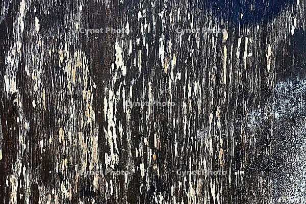 Detailed close up view on different wood surfaces showing planks logs and wooden walls in high resolution [IBR125501617]