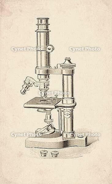 Pillar Support Horseshoe Base Compound Microscope Scientific Instrument Engraving Digitally Remastered And Enhanced [IBR125501634]