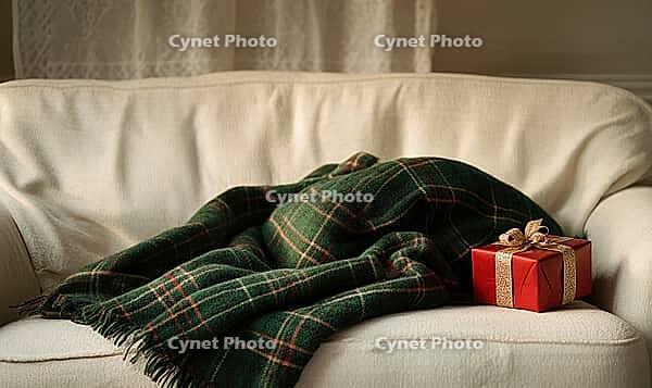 Cozy winter scene with a dark green plaid blanket folded on a white sofa, a small red gift box nearby, soft ambient light enhancing textures, AI generated [IBR125502161]