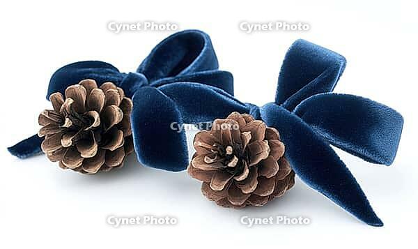 Two small pinecones tied with a dark blue velvet ribbon, set on a white background, AI generated [IBR125502195]