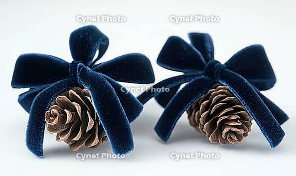Two small pinecones tied with a dark blue velvet ribbon, set on a white background, AI generated [IBR125502211]