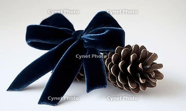 Two small pinecones tied with a dark blue velvet ribbon, set on a white background, AI generated [IBR125502213]