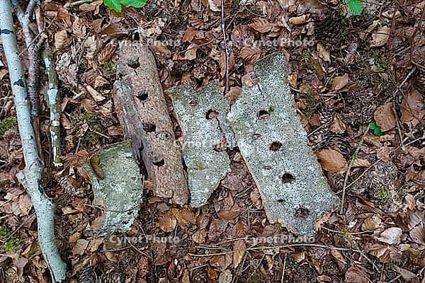 Land Art, nature art, arrangement of tree bark, nature conservation, in the forest, Upper Danube nature park Park, Sigmaringen district, Baden-Württemberg, Germany [IBR125521137]