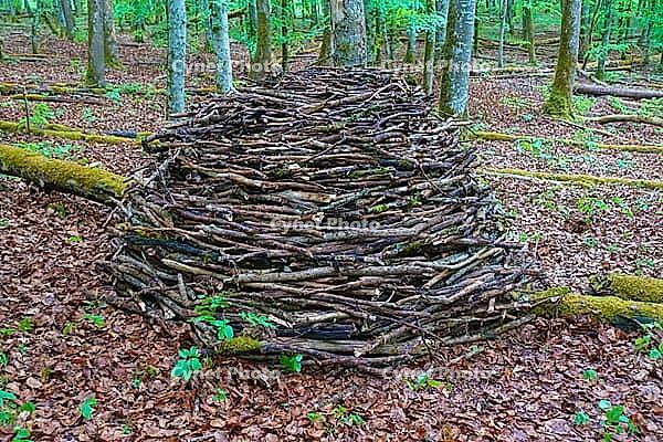 Land Art, nature art, nature conservation, artefact, branches, in the forest, Upper Danube nature park Park, Sigmaringen district, Baden-Württemberg, Germany [IBR125521165]