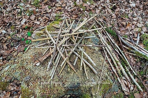 Land Art, nature art, arrangement of small branches on tree stump, nature conservation, in the forest, Upper Danube nature park Park, Sigmaringen district, Baden-Württemberg, Germany [IBR125521171]