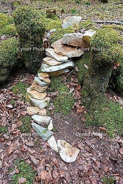 Land Art, nature art, forest floor, arrangement of natural stones, moss, nature conservation, in the forest, Upper Danube nature park Park, Sigmaringen district, Baden-Württemberg, Germany [IBR125521172]