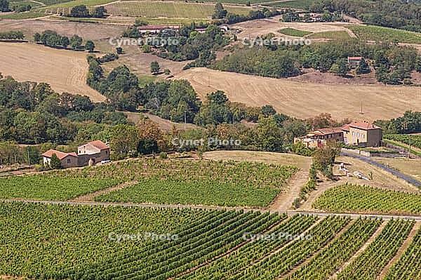 The view from the lookout of the Glay quarries over the vineyards and hills of Beaujolais [IBR125527045]
