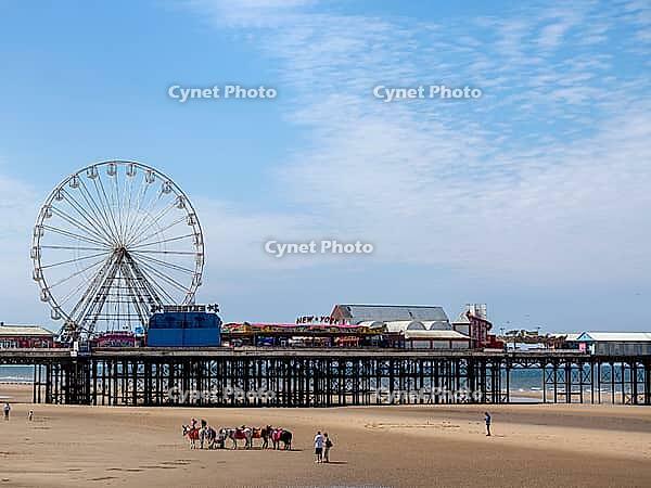 Blackpool, Lancashire, United Kingdom - 26 June 2024 : the famous blackpool donkey ride on the beach in front of the central pier [IBR125527051]