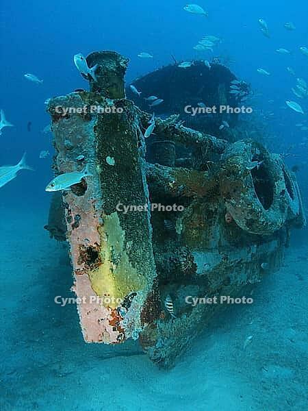 Sunken tugboat John de Vaca on a sandy bottom becomes an artificial reef. Background blue and many fish. Carriacou, Grenada, Caribbean [IBR125527056]