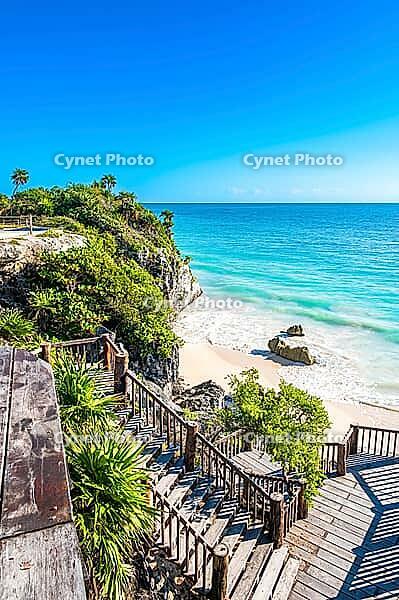 Vertical image of Playa Pescadores in Tulum, Quintana Roo, Mexico, showing wooden stairs and viewing platforms descending a rocky cliff covered in lush tropical vegetation to a sandy beach with turquoise Caribbean Sea waves under a clear blue sky [IBR125527063]