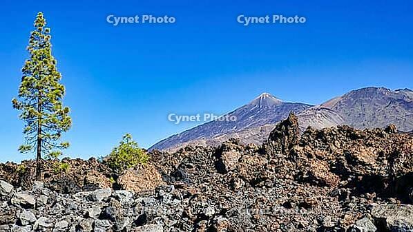 View from cañadas del teide to Teide in Tenerife [IBR125527069]