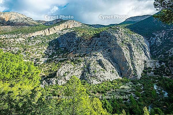 Rocky mountain landscape with steep limestone cliffs, green vegetation and pine forest in the Sierra de Huma near Caminito del Rey, Malaga, Andalusia, Spain under partly cloudy daylight [IBR125527074]