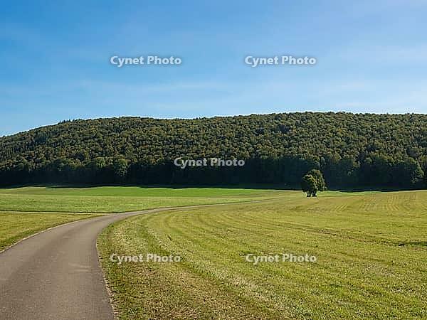 Beautiful country road on Schwaebische Alb cycling trail in Southern Germany [IBR125527080]