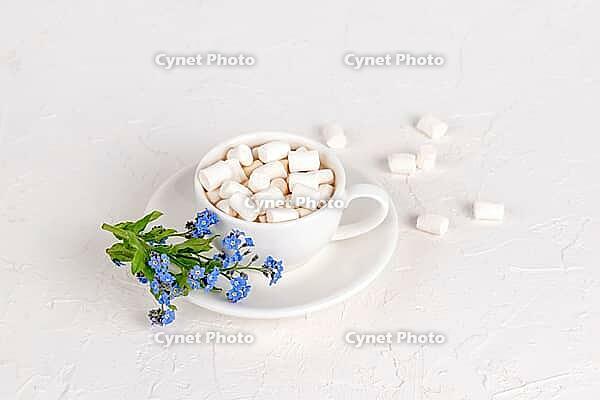 White cup of hot cocoa with marshmallows And forgotten-me-nots flowers on a white background, Good morning postcard, Copy space [IBR125527089]