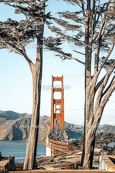 The famous golden gate bridges of san francisco [IBR125527093]