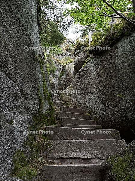 A stone staircase leads to the viewpoint on the Weissmainfelsen in the Fichtelgebirge, Germany [IBR125527100]