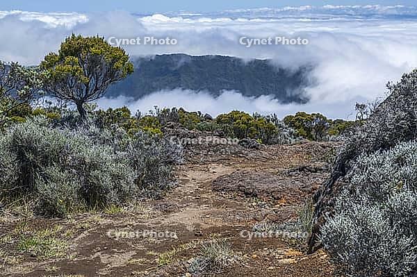 Every day at around noon, clouds conquer the flanks of the active volcano Piton de la Fournacie on the island of La Réunion [IBR125527106]
