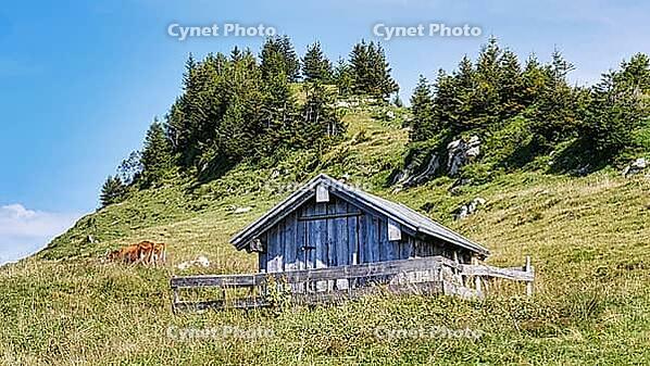Wooden barn on a mountain meadow [IBR125527121]