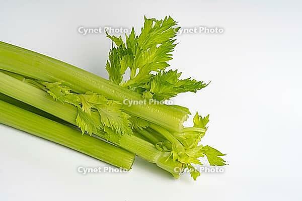Green celery macro photography on white background isolated [IBR125536429]