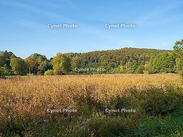 Lautertal landscape reserve in the Swabian Alb region, Germany. Beautiful valley with marsh area and a few vegetated slopes [IBR125536451]