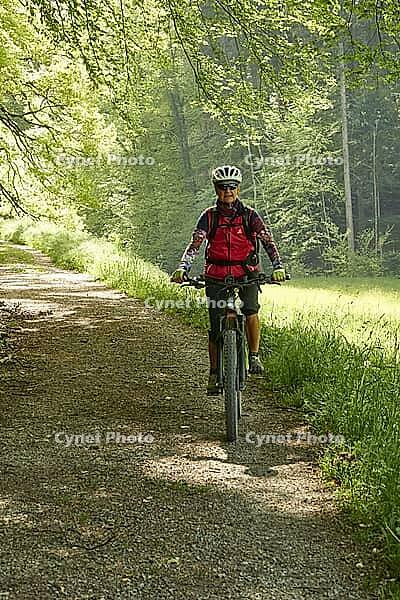 Mountain biker in red jacket rides through sunlit bright green spring forest. Frontal shot. Zurich Oberland, Switzerland [IBR125536456]