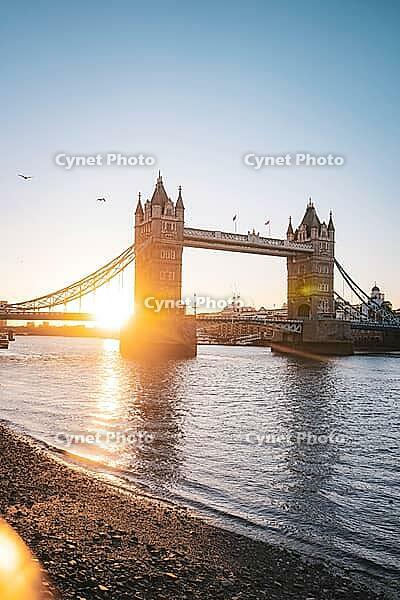 Tower Bridge spans over the Thames as the sun sets on the shore, Tower Bridge, London, United Kingdom [IBR125536470]