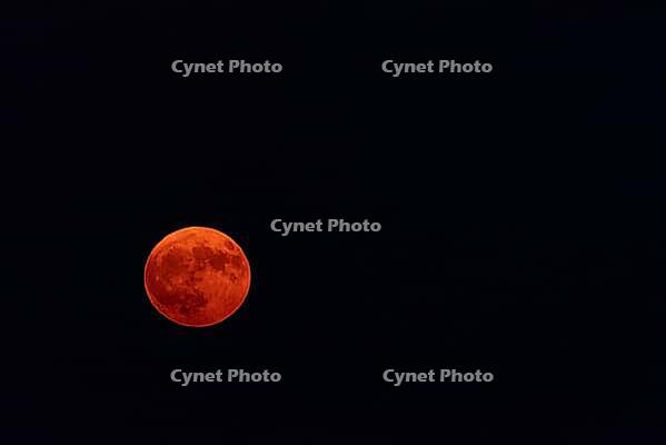 Orange-Tinted Full Moon in the Emptiness of a Black Sky.Full moon bathed in a soft orange tint, glowing against the deep black void of the night sky. The moon's surface is marked with detailed craters [IBR125557564]