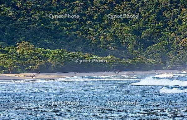 Paradise beach Bertioga [IBR125557568]