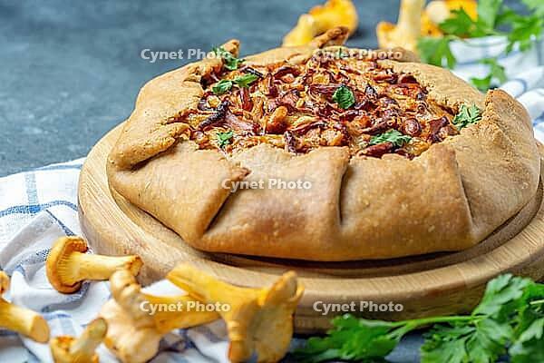 Homemade pie with wild chanterelles, onion, potatoes and greenery on a textured dark background, selective focus [IBR125566009]