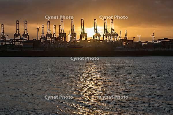 Cargo cranes at the big famous port of the German city of Hamburg in the evening sunset [IBR125566023]