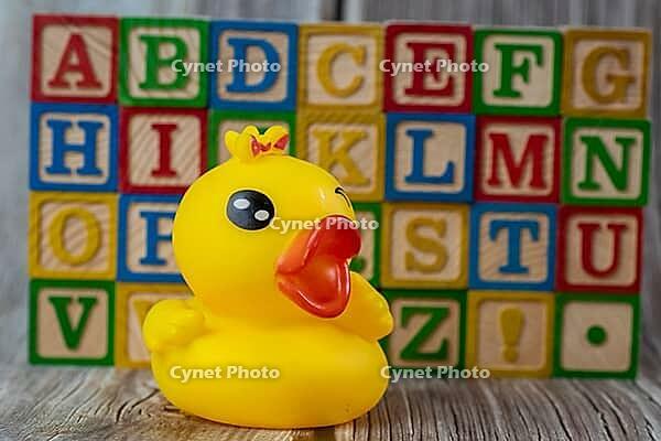 Rubber duck baby toy and alphabetic wooden block [IBR125566025]
