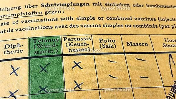 German international vaccination certificate with missing records for measles and polio [IBR125566031]