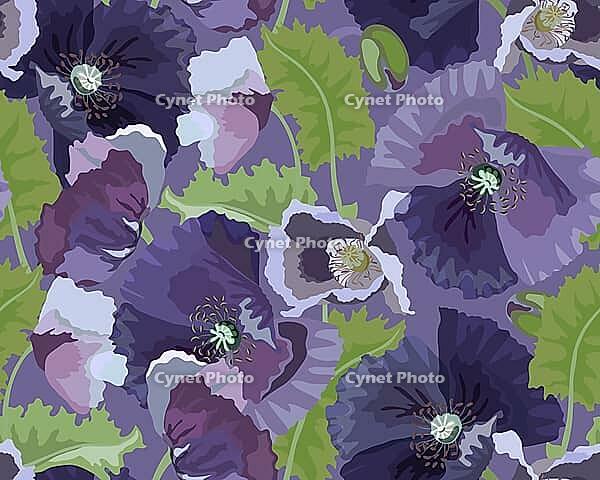 Vector floral seamless pattern. Lilac popies, green leaves and buds on a purple background. Flower design for decorating surfaces, wallpaper, cards and more [IBR125566060]