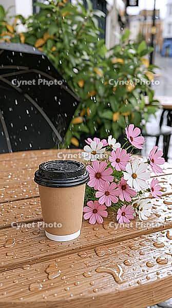 A takeaway coffee cup and pink and white flowers sit on a rain-speckled wooden café table among leafy plants. AI generated [IBR125592664]