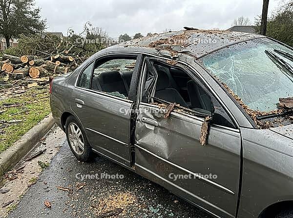 A gray sedan sits beside freshly cut tree sections, with shattered windows, a crushed roof, and bark and wood debris scattered across the roadway, AI generated [IBR125592698]