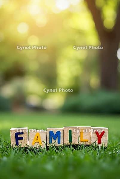 Colorful family word written on wooden alphabet blocks placed on green grass with blurred bokeh background, AI generated [IBR125621352]