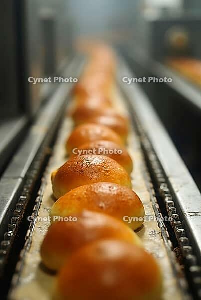 Golden brown buns continuously moving on a conveyor belt, showcasing the automated production process in a bakery, AI generated [IBR125621355]