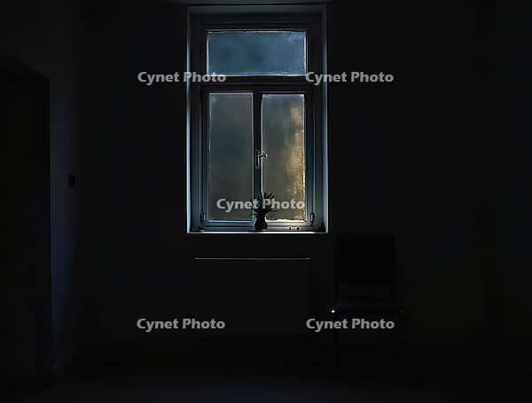 Lone person stands by a window in a dark apartment, AI generated [IBR125636891]