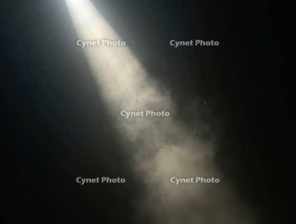 Particles of dust floating gently through a narrow beam of sunlight piercing a dark room, AI generated [IBR125636961]