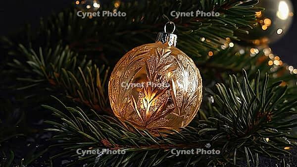 Golden christmas ball hanging on christmas tree branch with lights creating a festive atmosphere, AI generated [IBR125653406]