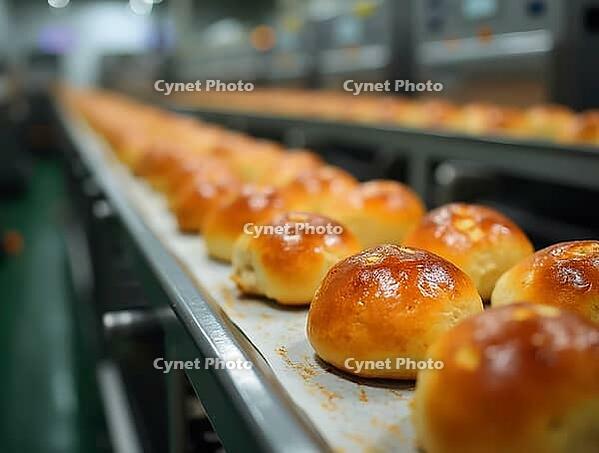 Golden brown buns travel on a conveyor belt, showcasing the automated production process in a bakery or food factory, AI generated [IBR125653422]