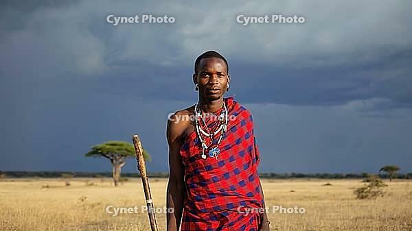 Maasai man wearing traditional red and blue clothes and necklaces holding wooden stick standing in african savanna with dramatic sky, AI generated [IBR125653463]